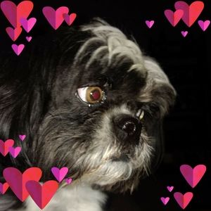 Meet your Posher, Renee